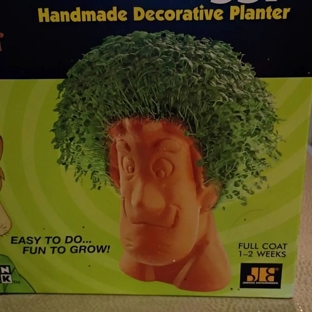 NWT Cartoon Network Scooby Doo Chia Shaggy